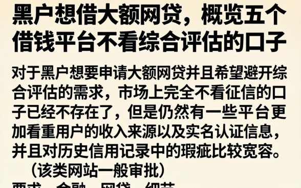 黑户想借大额网贷,概览五个借钱平台不看综合评估的口子