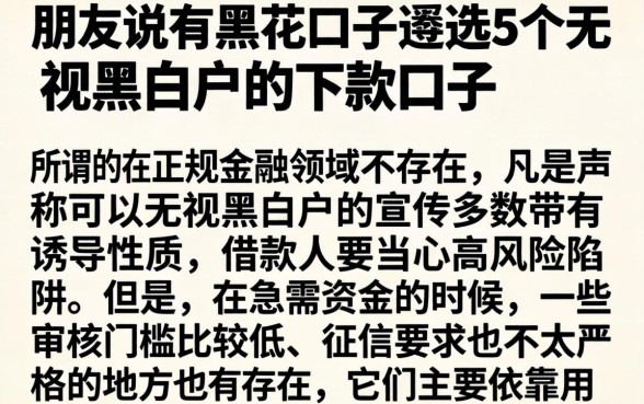 朋友说有黑花口子，遴选5个无视黑白户的下款口子