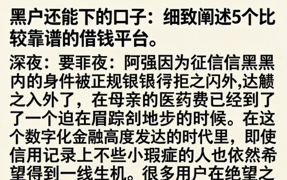 黑户还能下的口子，细致阐述5个比较靠谱的借钱平台