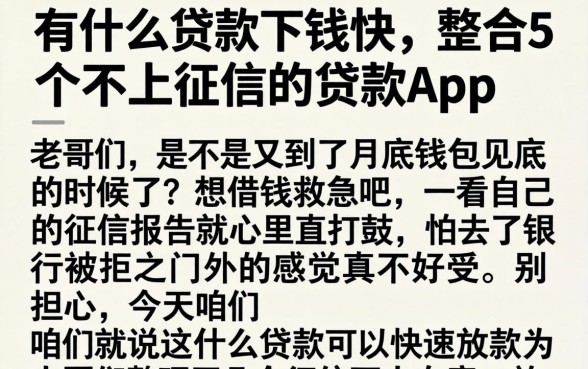 有什么贷款下钱快，整合5个不上征信的贷款app