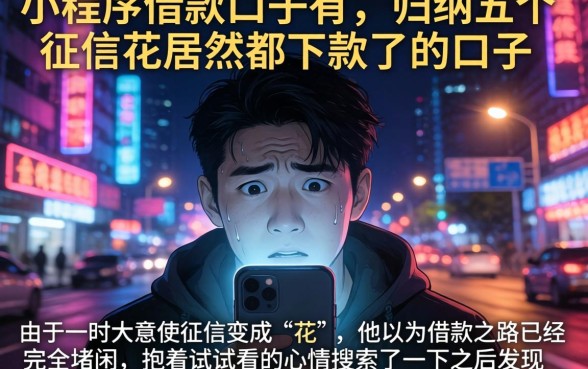 小程序借款口子有,归纳五个征信花居然都下款了的口子