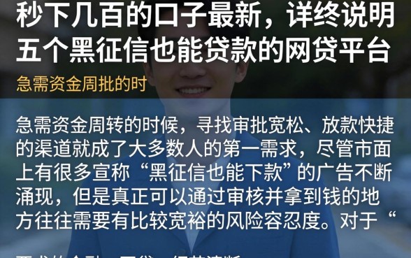 秒下几百的口子最新，详尽说明五个黑征信也能贷款的网贷平台