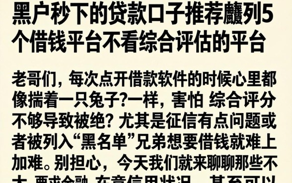 黑户秒下的贷款口子推荐，胪列5个借钱平台不看综合评估的平台