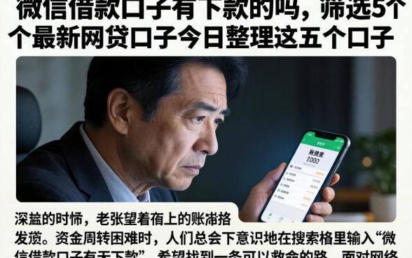 微信借款口子有下款的吗,筛选5个最新网贷口子今日整理这五个口子