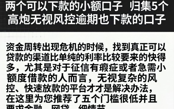 两个可以下款的小额口子，归集5个高炮无视风控逾期也下款的口子