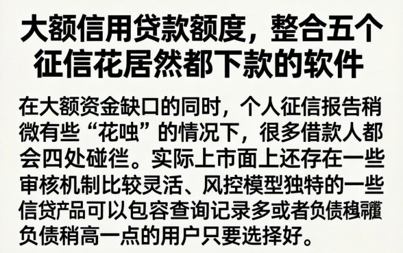 大额信用贷款额度，整合五个征信花居然都下款的软件