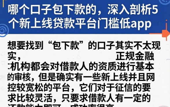 哪个口子包下款的，深入剖析5个新上线贷款平台门槛低app