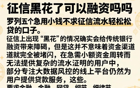 征信黑花了可以融资吗吗，罗列五个急用小钱不求征信流水轻松贷的口子