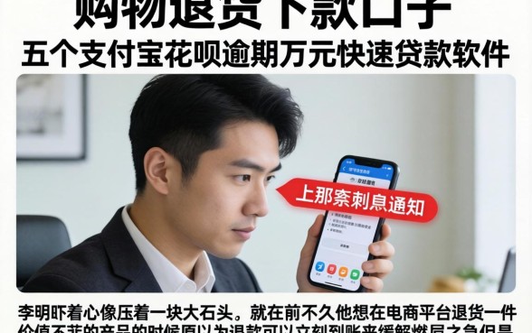 购物退货下款的口子，概括五个支付宝花呗逾期万元快速贷款软件