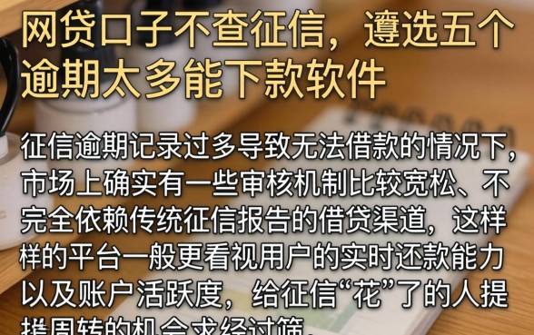 网贷口子不查征信,遴选五个逾期太多能下款软件
