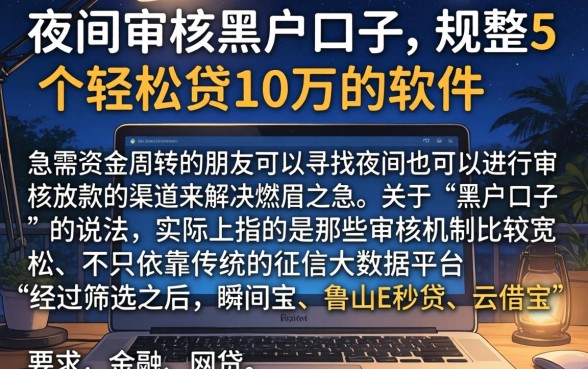 夜间审核的黑户口子，规整5个轻松贷10万的软件