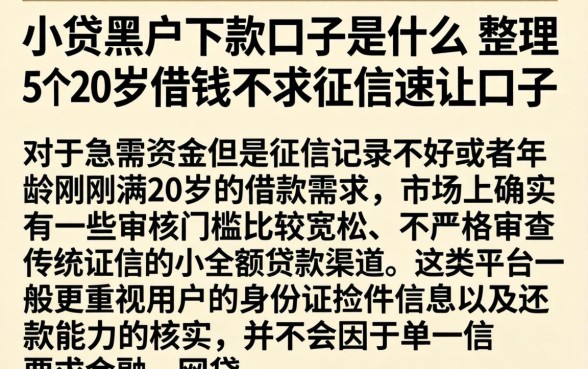 小贷黑户下款口子是什么，整理5个20岁借钱不求征信速借口子