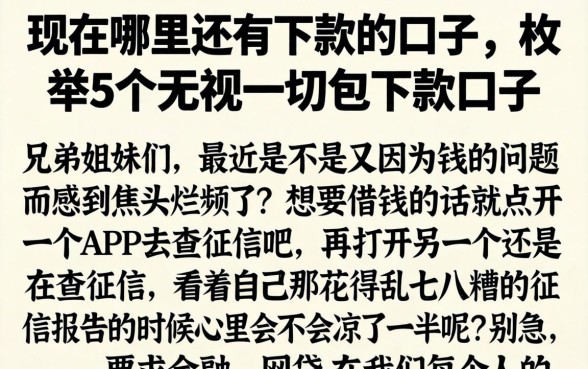 现在哪里还有下款的口子，枚举5个无视一切包下款口子