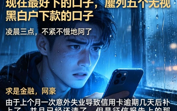 现在最好下的口子，胪列五个无视黑白户下款的口子