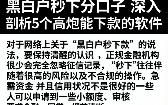 黑白户秒下分口子，深入剖析5个高炮能下款的软件