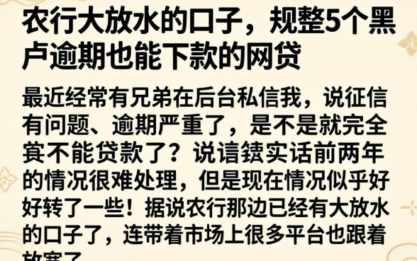 农行大放水的口子，规整5个黑户逾期也能下款的网贷
