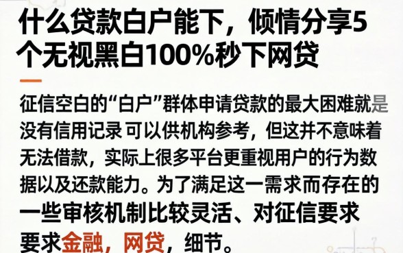 什么贷款白户能下，倾情分享5个无视黑白100%秒下网贷