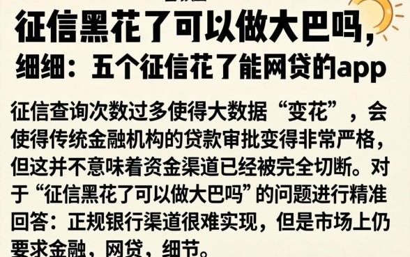 征信黑花了可以做大巴吗,细致阐述五个征信花了能网贷的app
