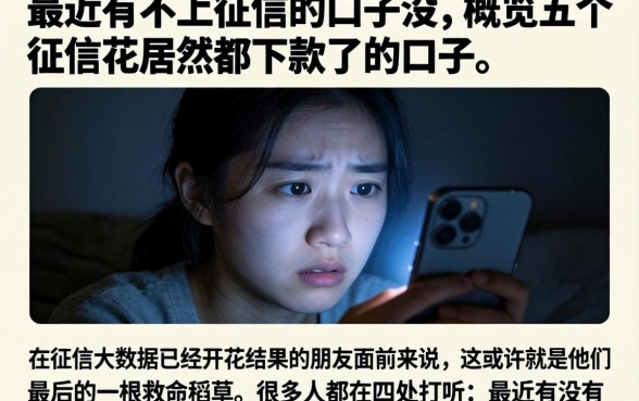 最近有不上征信的口子没,概览五个征信花居然都下款了的口子