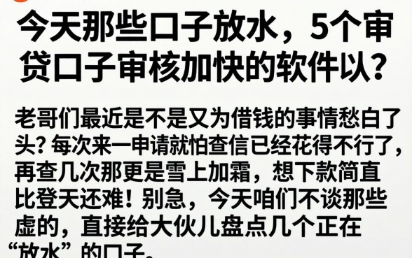 今天那些口子放水，详尽说明5个审贷口子审核加快的软件