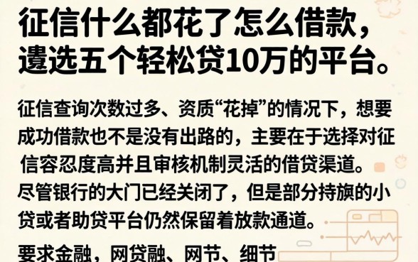 征信什么都花了怎么借款，遴选五个轻松贷10万的平台