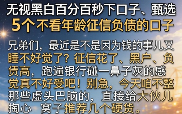 无视黑白百分百秒下口子，甄选5个不看年龄征信负债的口子