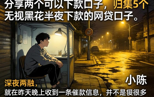 分享两个可以下款的口子,归集5个无视黑花半夜下款的网贷口子