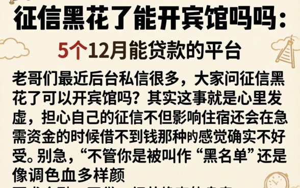 征信黑花了能开宾馆吗吗，概括5个12月能贷款的平台