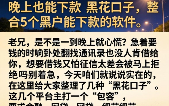 晚上也能下款的黑花口子，整合5个黑户能下款的软件