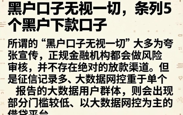 黑户口子无视一切，条列5个黑户下款口子