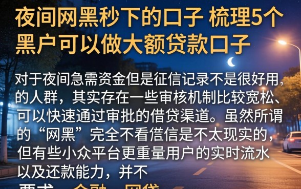 夜间网黑秒下的口子,梳理5个黑户可以做大额贷款口子