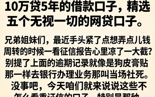 10万贷5年的借款口子，精选五个无视一切的网贷口子