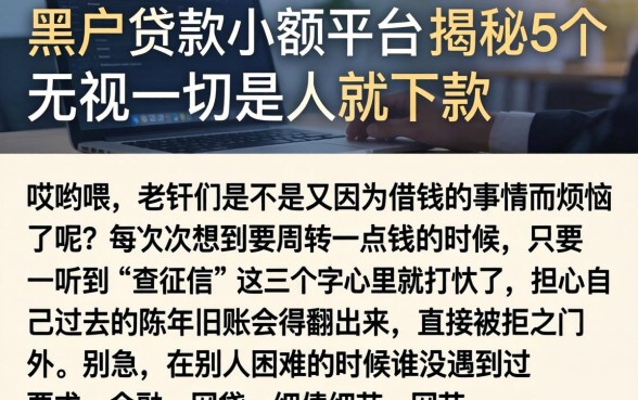 黑户贷款小额平台,揭秘5个无视一切是人就下款