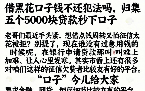 借黑花口子钱不还犯法吗，归集五个5000块贷款秒下口子