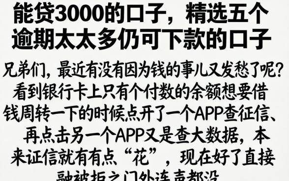 能贷3000的口子，精选五个逾期太多仍可下款的口子