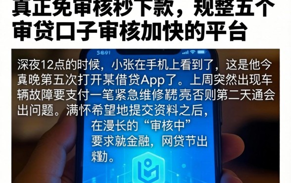 真正免审核秒下款，规整五个审贷口子审核加快的平台
