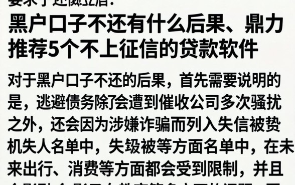 黑户口子不还有什么后果，鼎力推荐5个不上征信的贷款软件