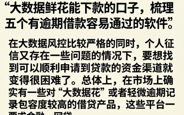大数据鲜花能下款的口子，梳理五个有逾期借款容易通过的软件