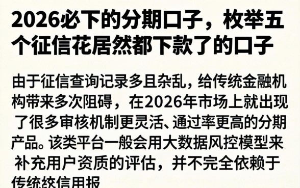 2026必下的分期口子,枚举五个征信花居然都下款了的口子