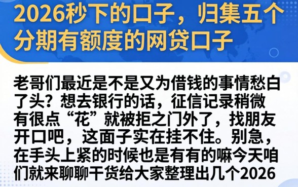 2026秒下的口子,归集五个分期有额度的网贷口子