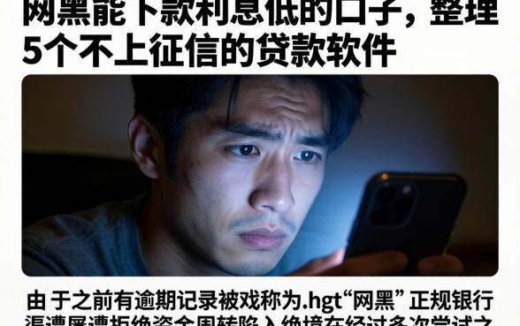 网黑能下款利息低的口子，整理5个不上征信的贷款软件