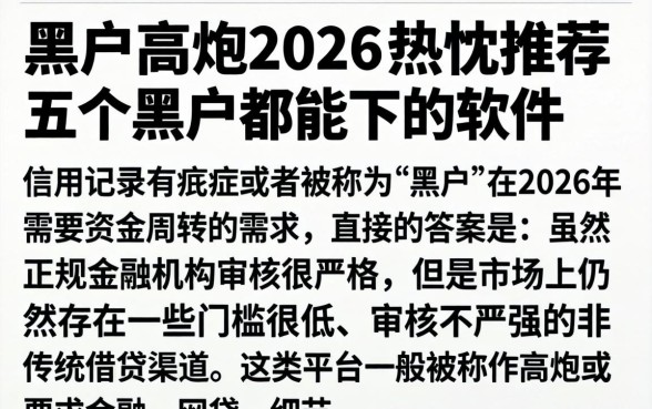 黑户高炮2026，热忱推荐五个黑户都能下的软件