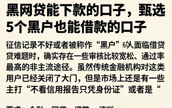 黑网贷能下款的口子，甄选5个黑户也能借款的口子