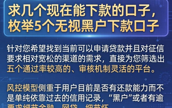 求几个现在能下款的口子，枚举5个无视黑户下款口子