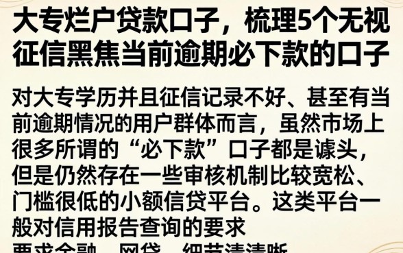 大专烂户贷款口子，梳理5个无视征信黑户当前逾期必下款的口子