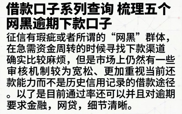 借款口子系列查询，梳理五个网黑逾期下款口子