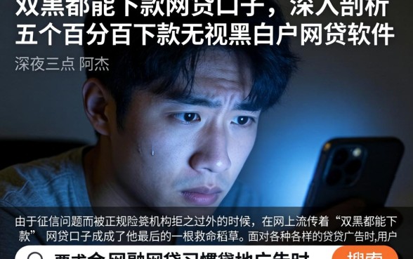 双黑都能下款的网贷口子，深入剖析五个百分百下款无视黑白户网贷软件