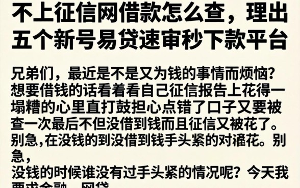 不上征信的网借款怎么查，理出五个新号易贷速审秒下款平台