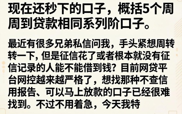 现在还秒下的口子，概括5个周周到贷款相同系列的口子
