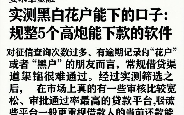 实测黑白花户能下的口子，规整5个高炮能下款的软件